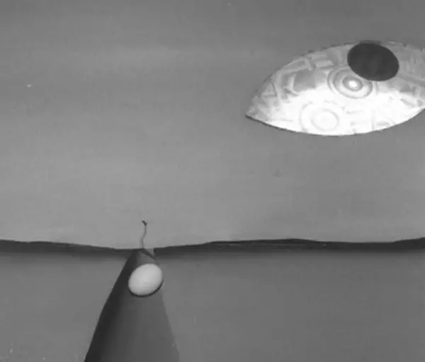 هاردساب انیمه دوران توالت